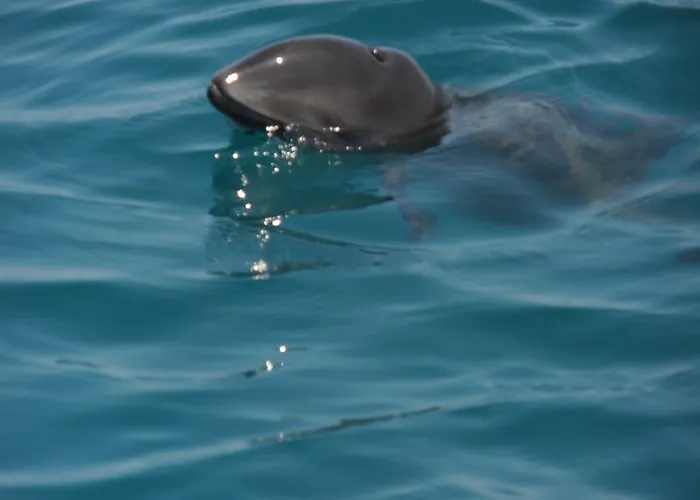 Casa de hóspedes Europa Kiten (Burgas)